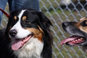 Tracey Garbutt Photo