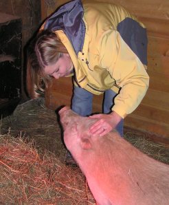 Stacie Martin and Bentley