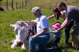 Casper at Precious Life Animal Sanctuary (courtesy of Cuenca family)