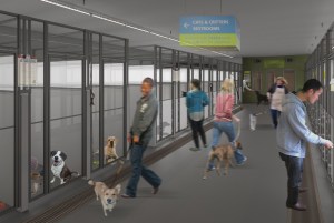 Artist concept of the Seattle Animal Shelter renovations (photo courtesy of SAS)