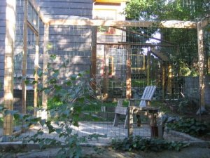 Hillman's cat enclosure