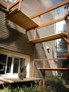Oliver's Catio