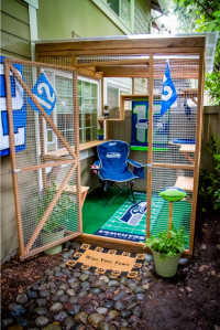 Seahawks catio
